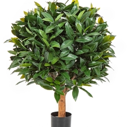 LAUREL BALL DE LUXE 35-95 cm