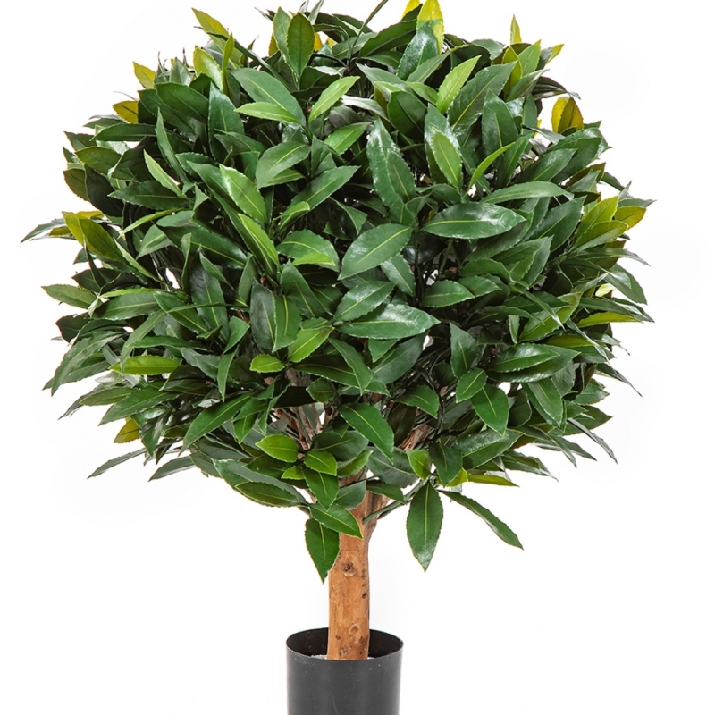 LAUREL BALL DE LUXE 35-95 cm