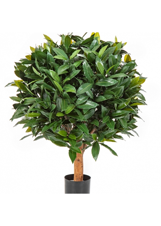 Laurel Ball UV 70-110 cm