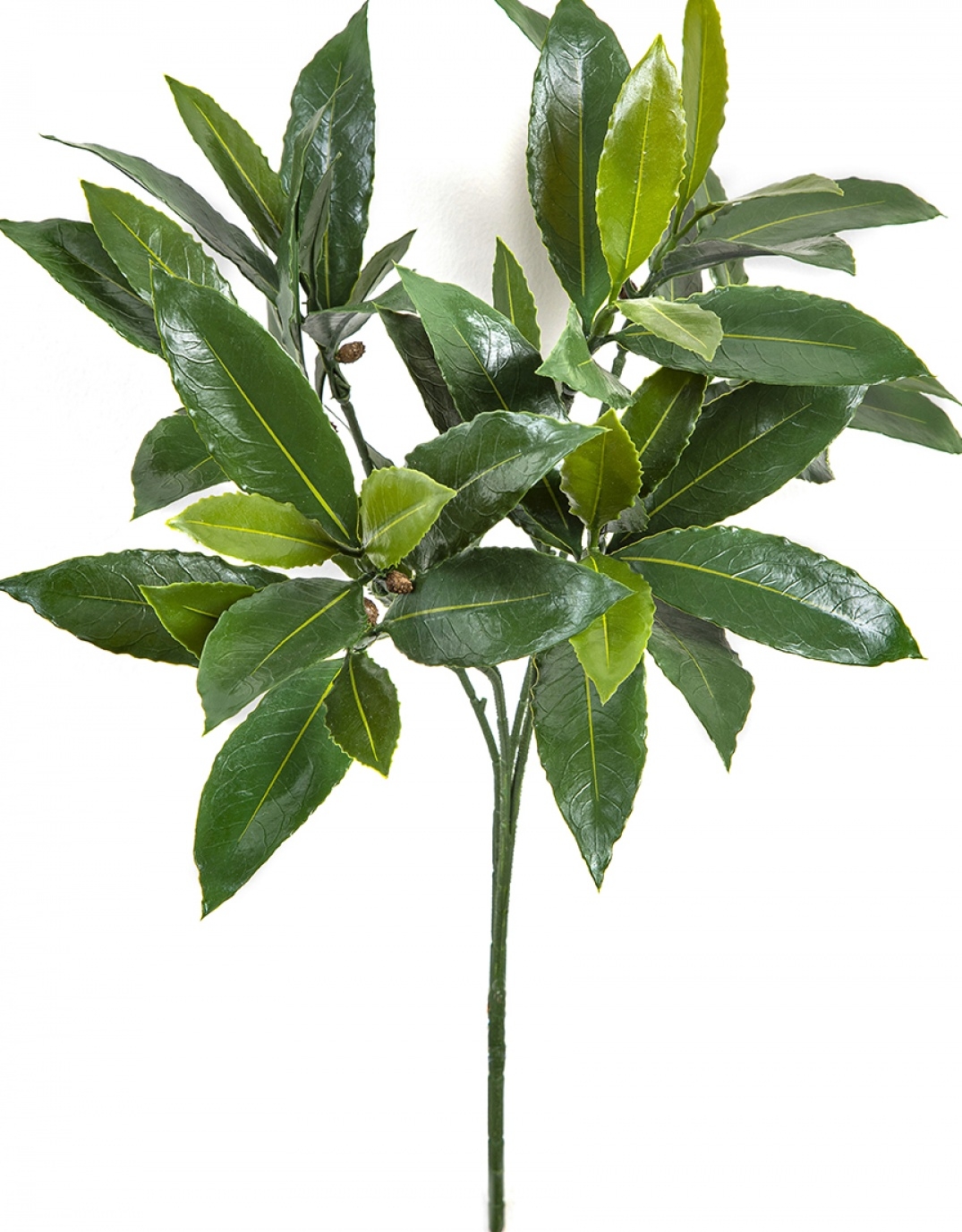 Laurel Spray x 55 Leaves - UV 51 cm