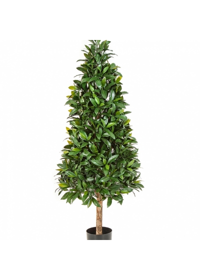 Laurel Tree UV 140 cm