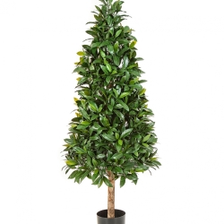 Laurel Tree UV 140 cm