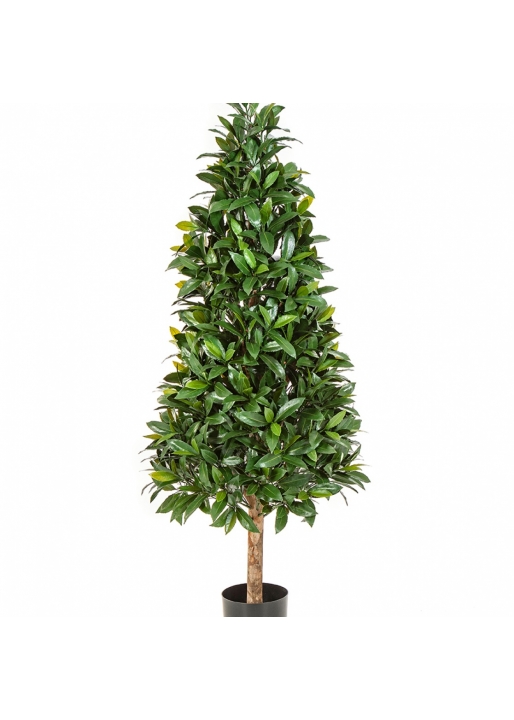 Laurel Tree UV 140 cm