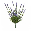 Lavender Bush x 19 - Purple 52 cm