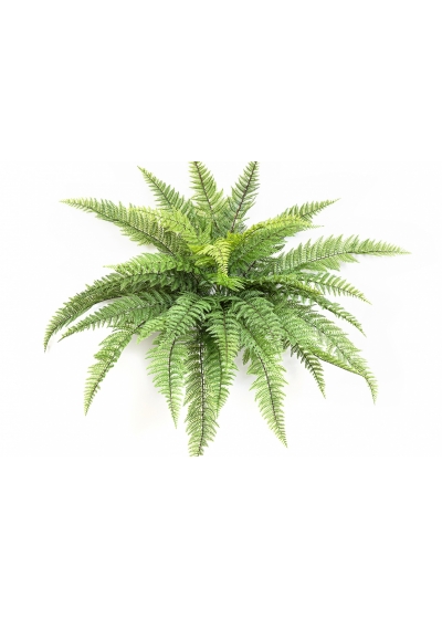 Leather Forest Fern - UV 80 cm