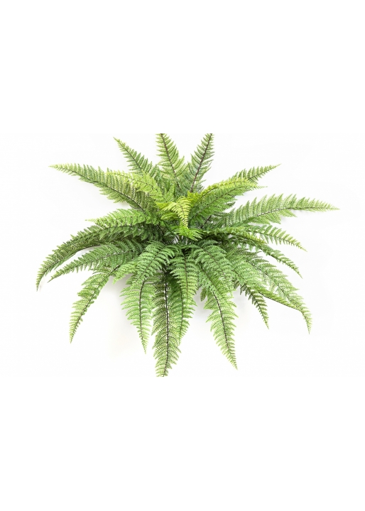 Leather Forest Fern - UV 80 cm