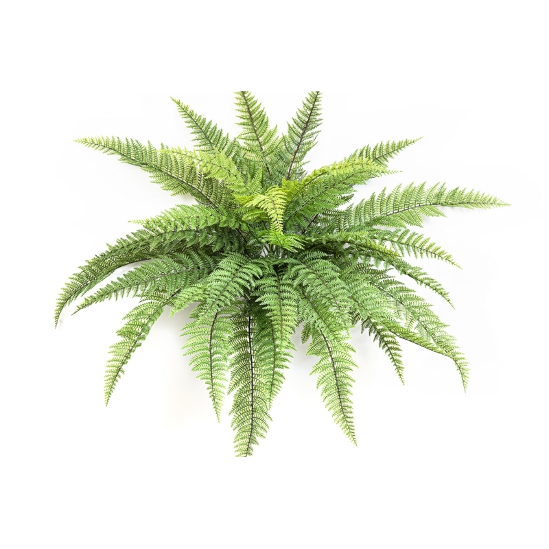 Leather Forest Fern - UV 80 cm