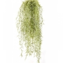Long Hair Bush Gray 80 cm