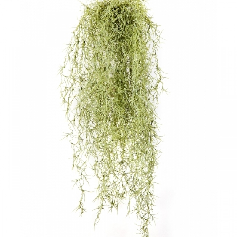 Long Hair Bush Gray 80 cm