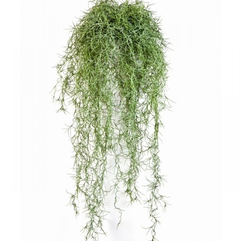 Long Hair Bush Green 80 cm