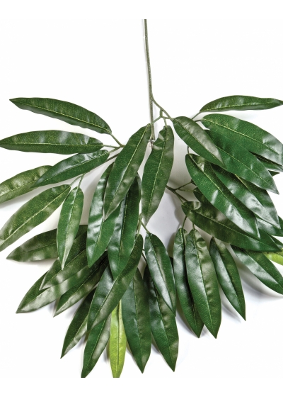 Mango spray x 41 55 cm