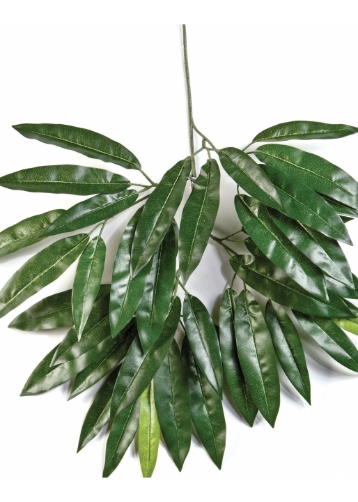 Mango spray x 41 55 cm