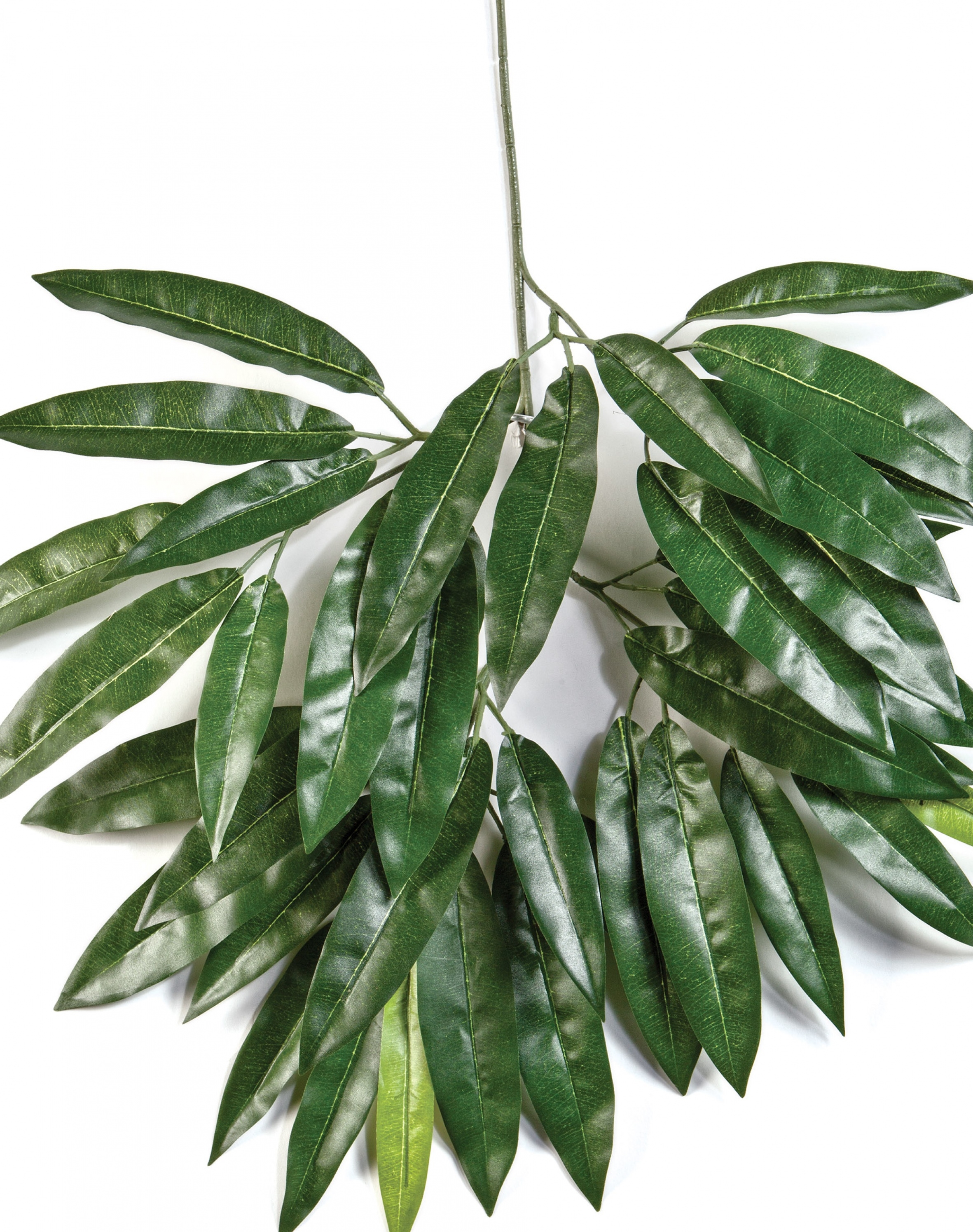 Mango spray x 41 55 cm