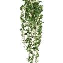 Maple ivy hanging bush 85 cm