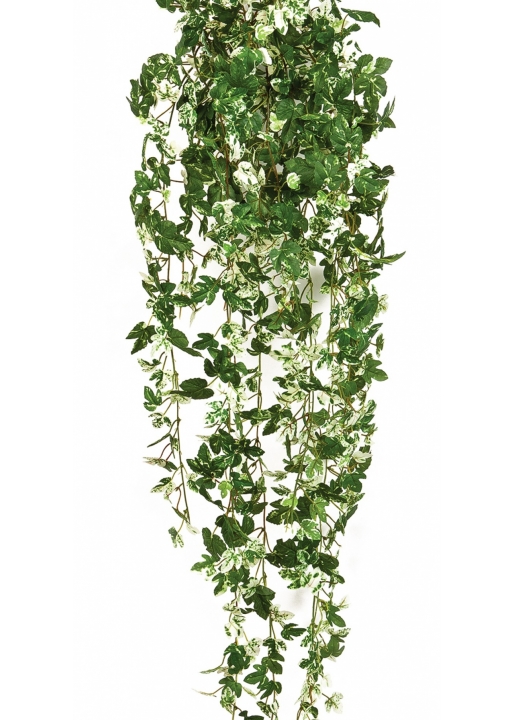 Maple ivy hanging bush 85 cm