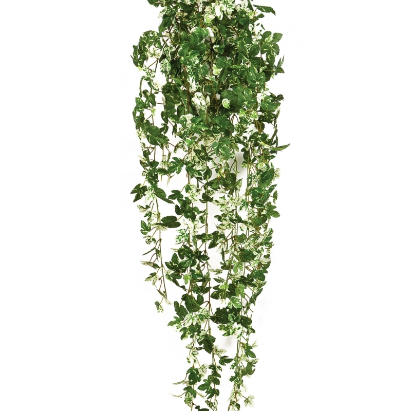 Maple ivy hanging bush 85 cm