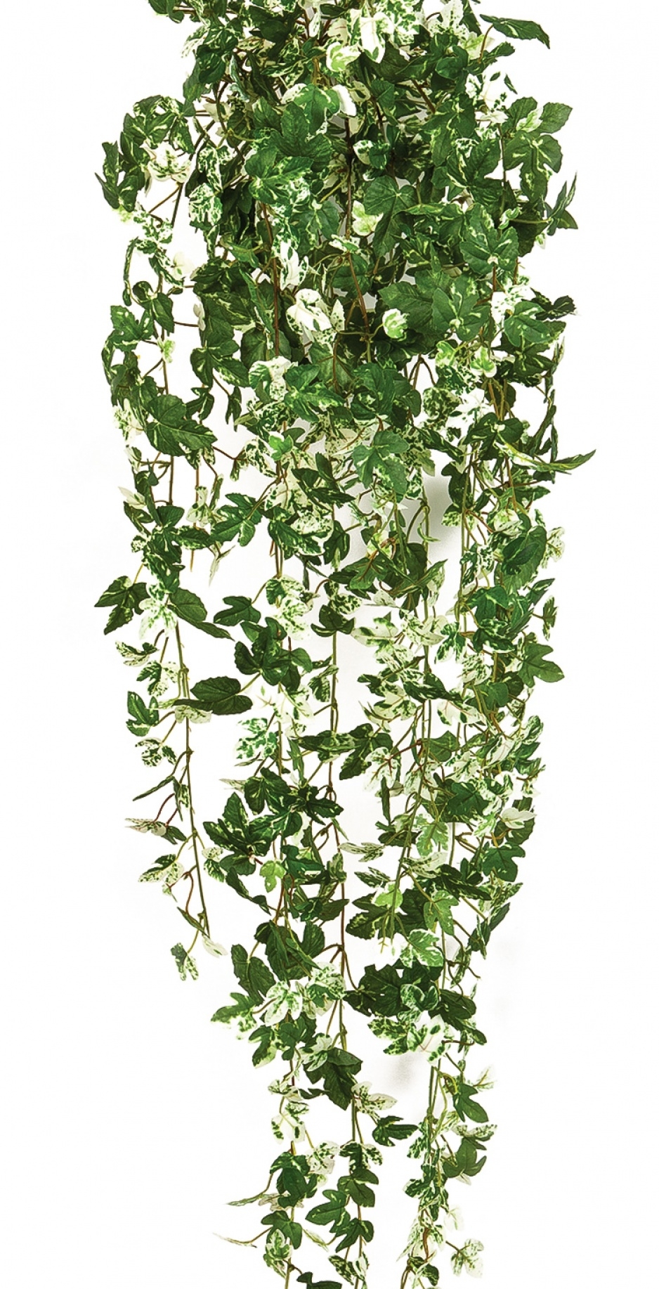 Maple ivy hanging bush 85 cm