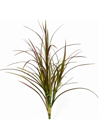 Natural Red Grass Bunch 80 cm