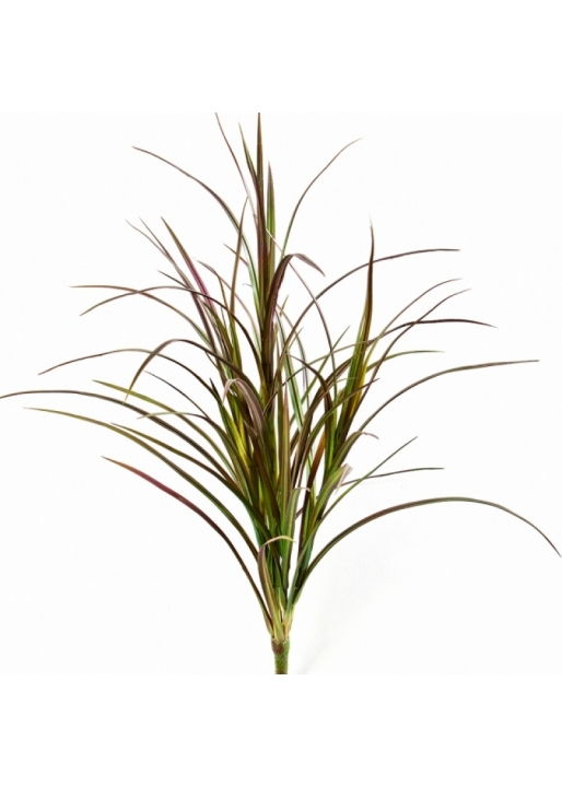 Natural Red Grass Bunch 80 cm