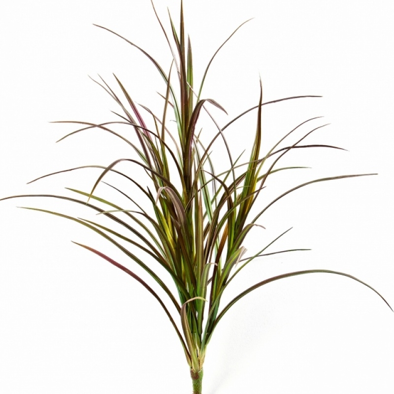 Natural Red Grass Bunch 80 cm