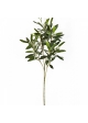 Natural olive spray 50 cm