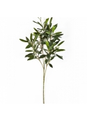 Natural olive spray 50 cm