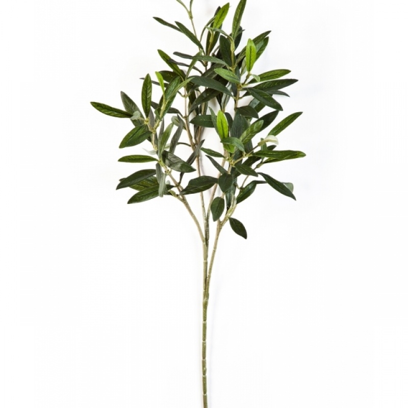 Natural olive spray 50 cm