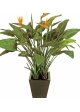 Natural strelitzia w/pot 130 cm