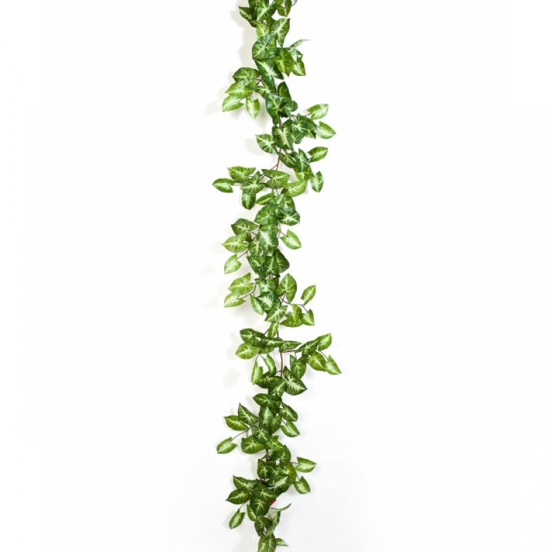 Nepthytis Garland 180 cm