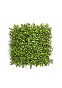 New Boxwood Square Carpet 25 cm