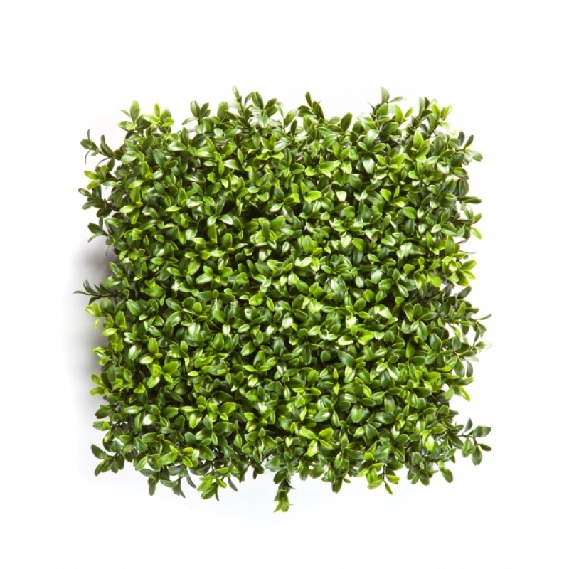 New Boxwood Square Carpet 25 cm
