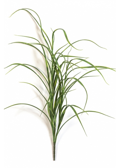 Northwind Grass Bunch - UV 80 cm