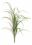 Northwind Grass Bunch - UV 80 cm