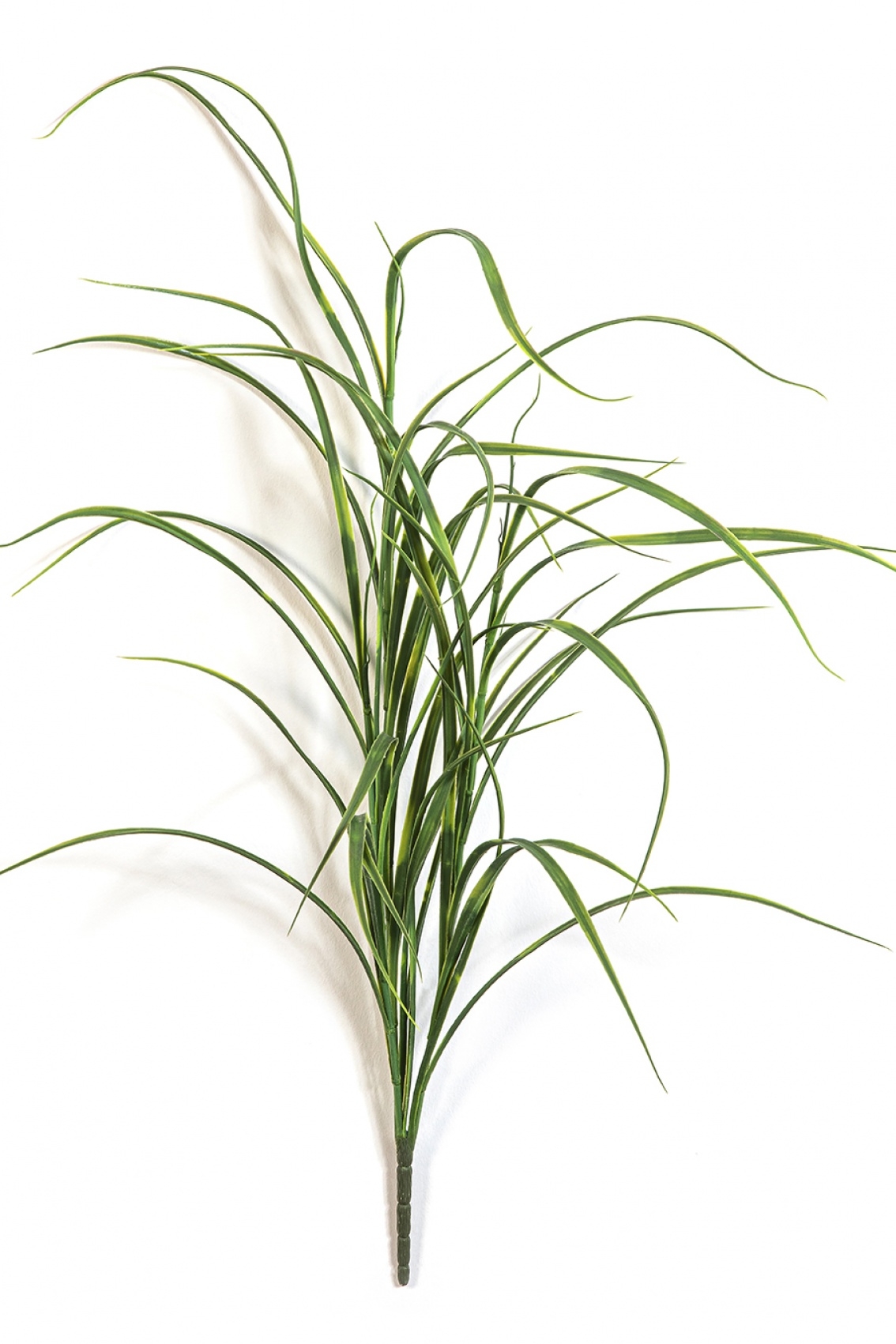 Northwind Grass Bunch - UV 80 cm