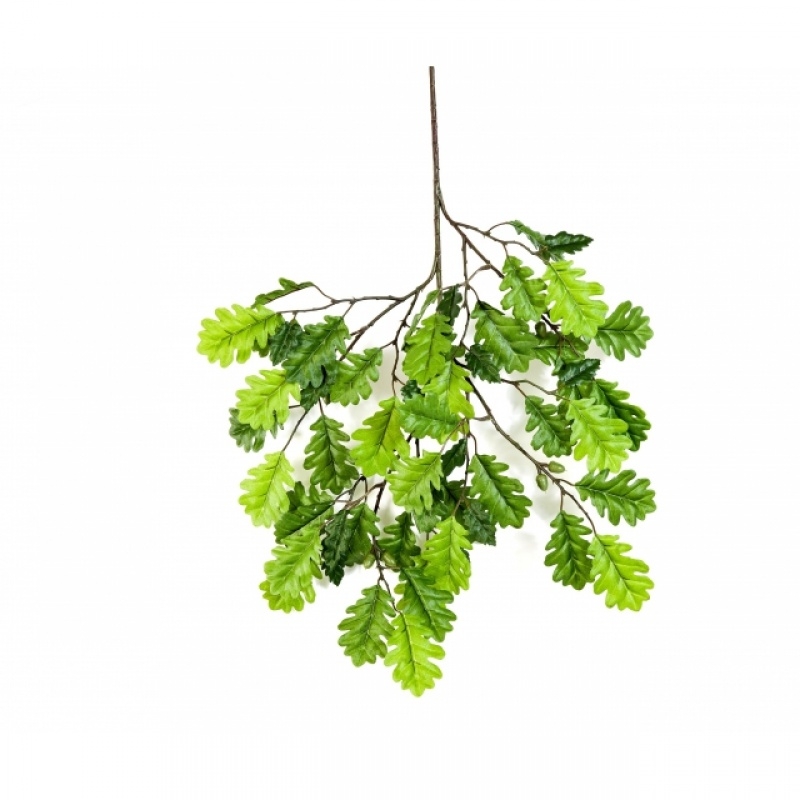 Oak spray with fruits 60 cm