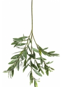 Olive Spray x 112 leaves - UV 68 cm