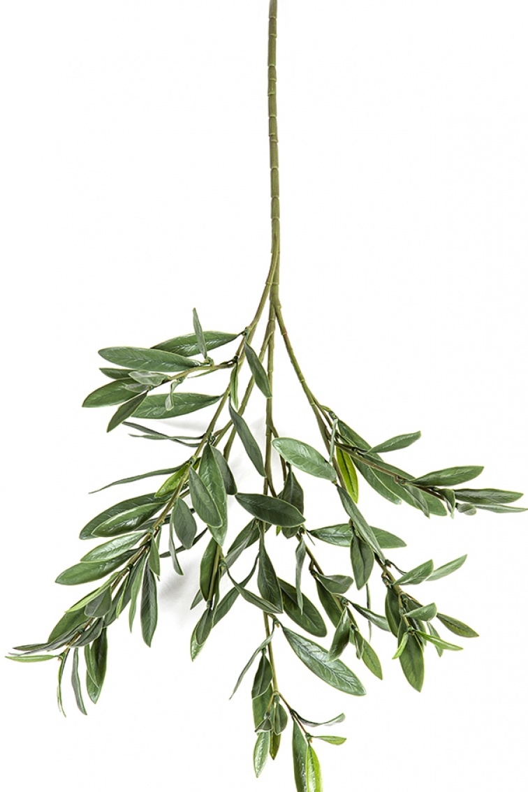 Olive Spray x 112 leaves - UV 68 cm