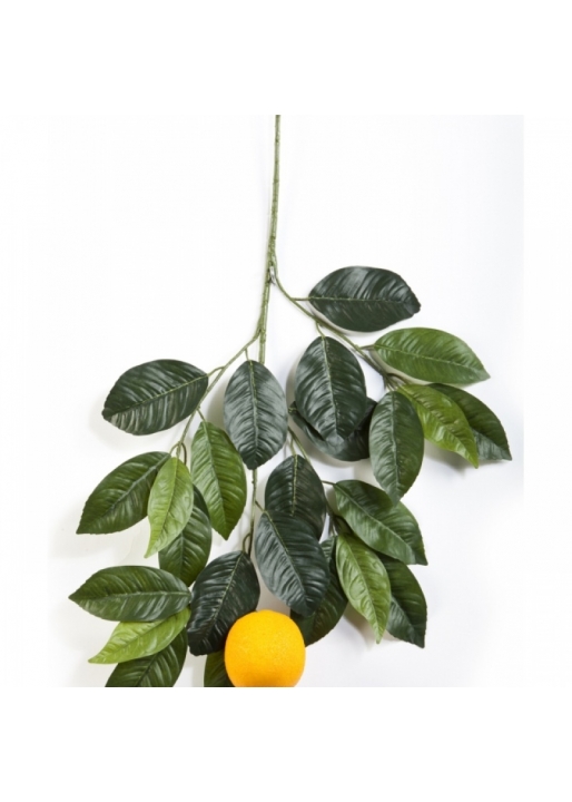 Orange spray with large fruits