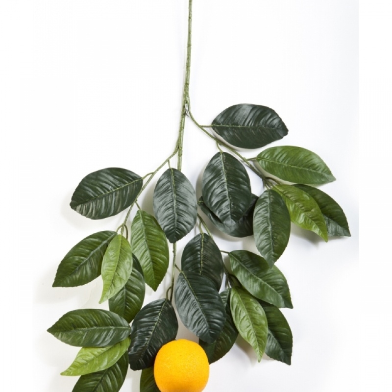 Orange spray with large fruits