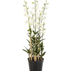 Orchid Dendrobidium White with Pot 132 cm