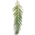PHOENIX CURVED PALM LEAF SET