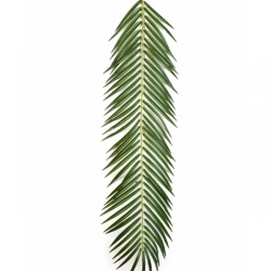 PHOENIX PALM SPRAY 88-126 cm