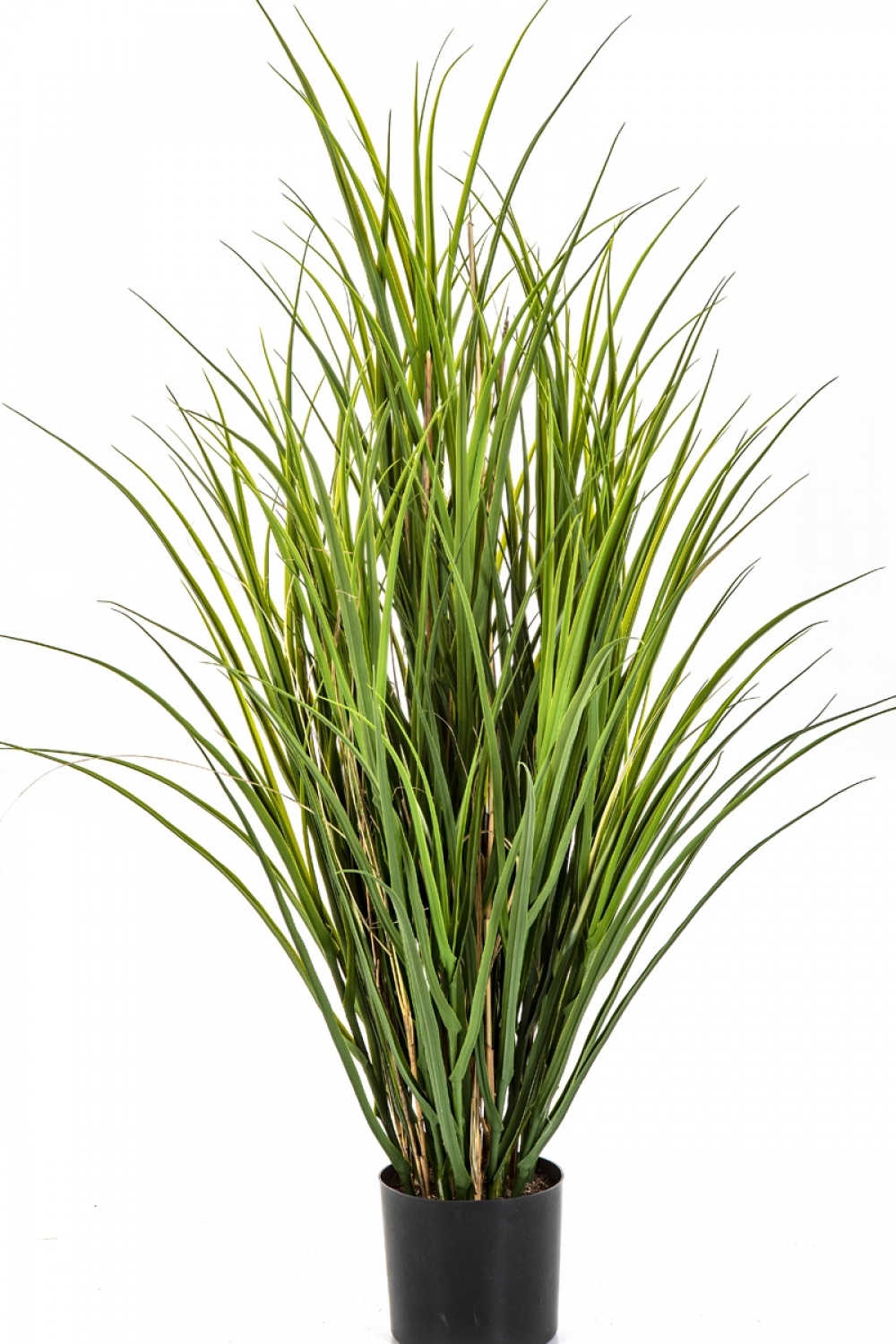 PLASTIC REED GRASS W/POT 110-165 cm