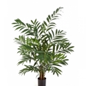 Parlour Palm 110 cm