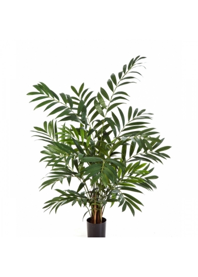 Parlour Palm 110 cm