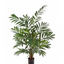 Parlour Palm 110 cm