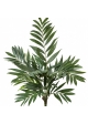 Parlour Palm Bush 75 cm
