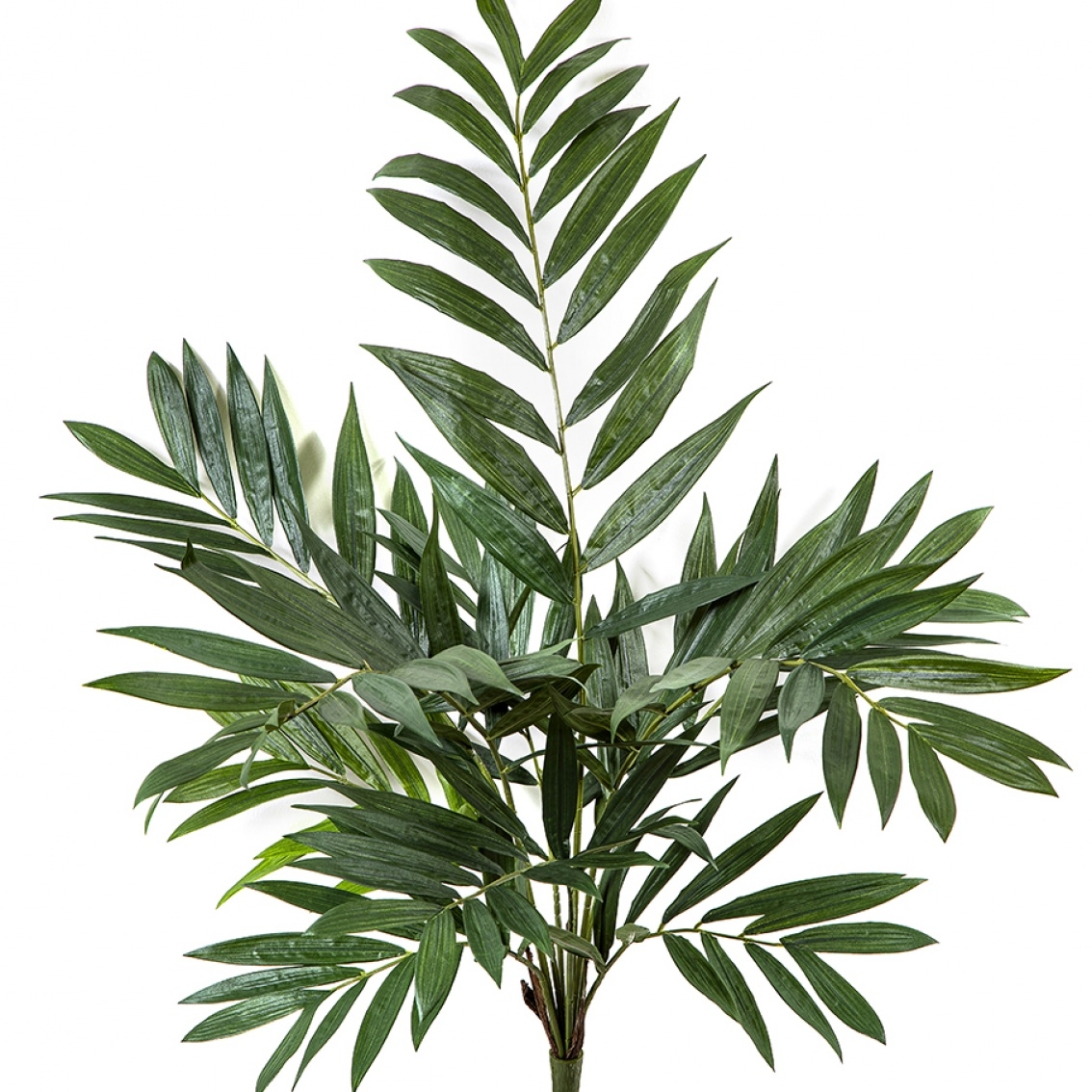 Parlour Palm Bush 75 cm