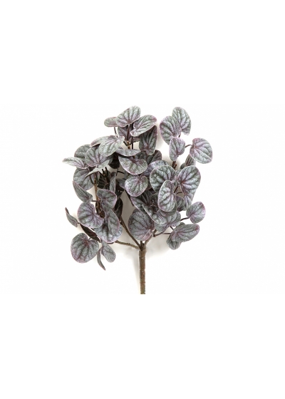 Peperomia Bush Red 33 cm