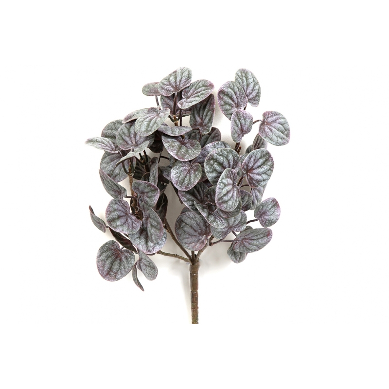Peperomia Bush Red 33 cm